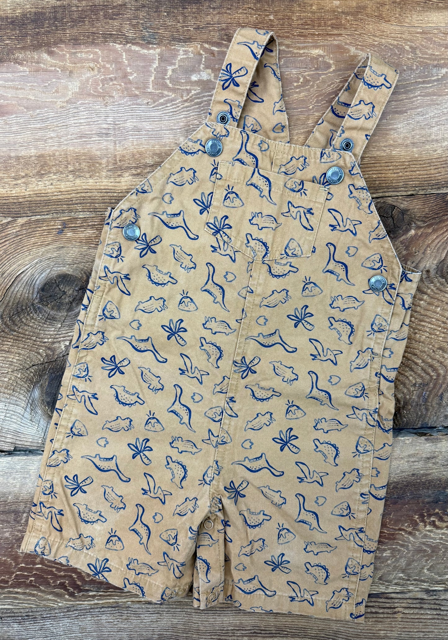 Carter's 18M Dino Romper