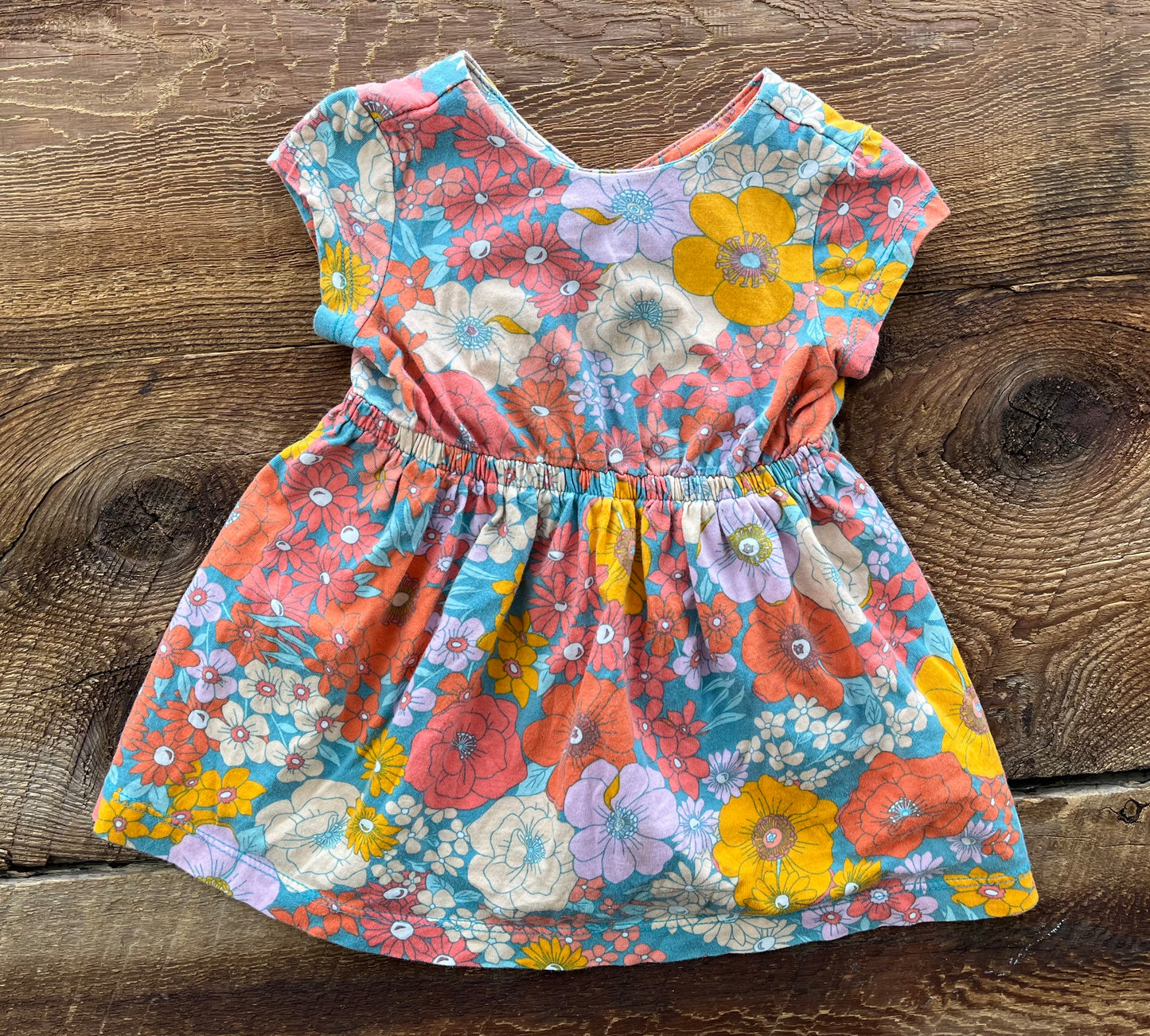 Carter’s 12M Floral Dress