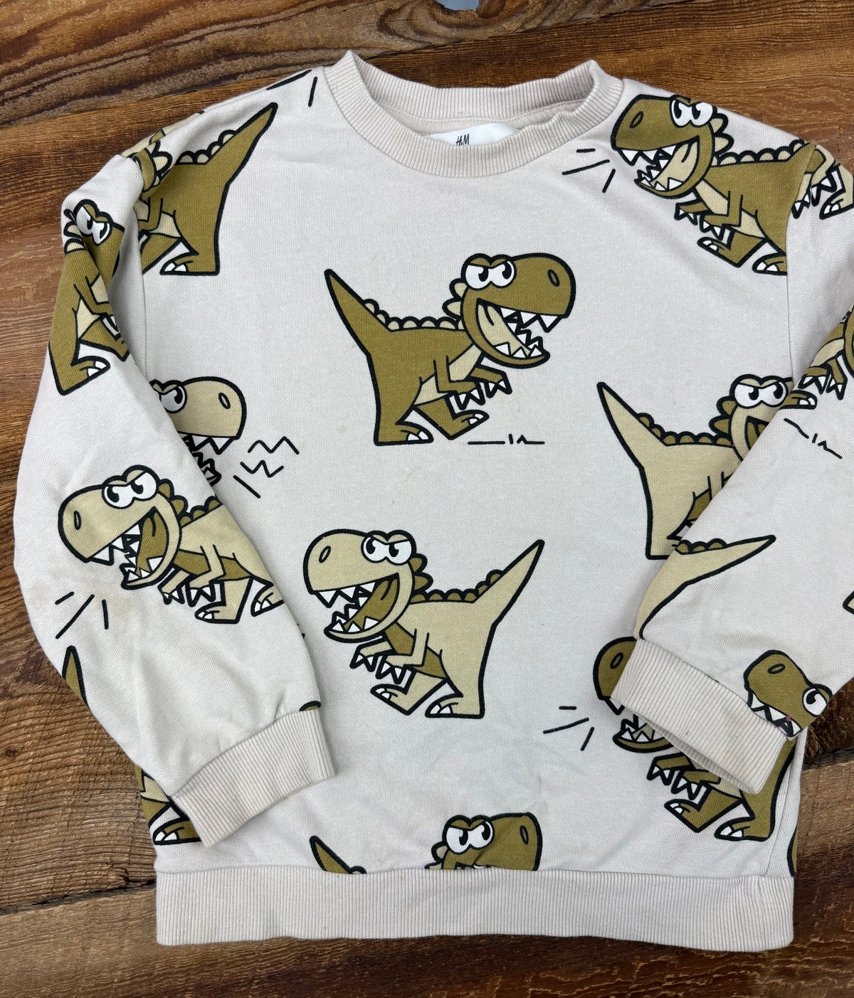 H&M 5T/6 Dino Crewneck