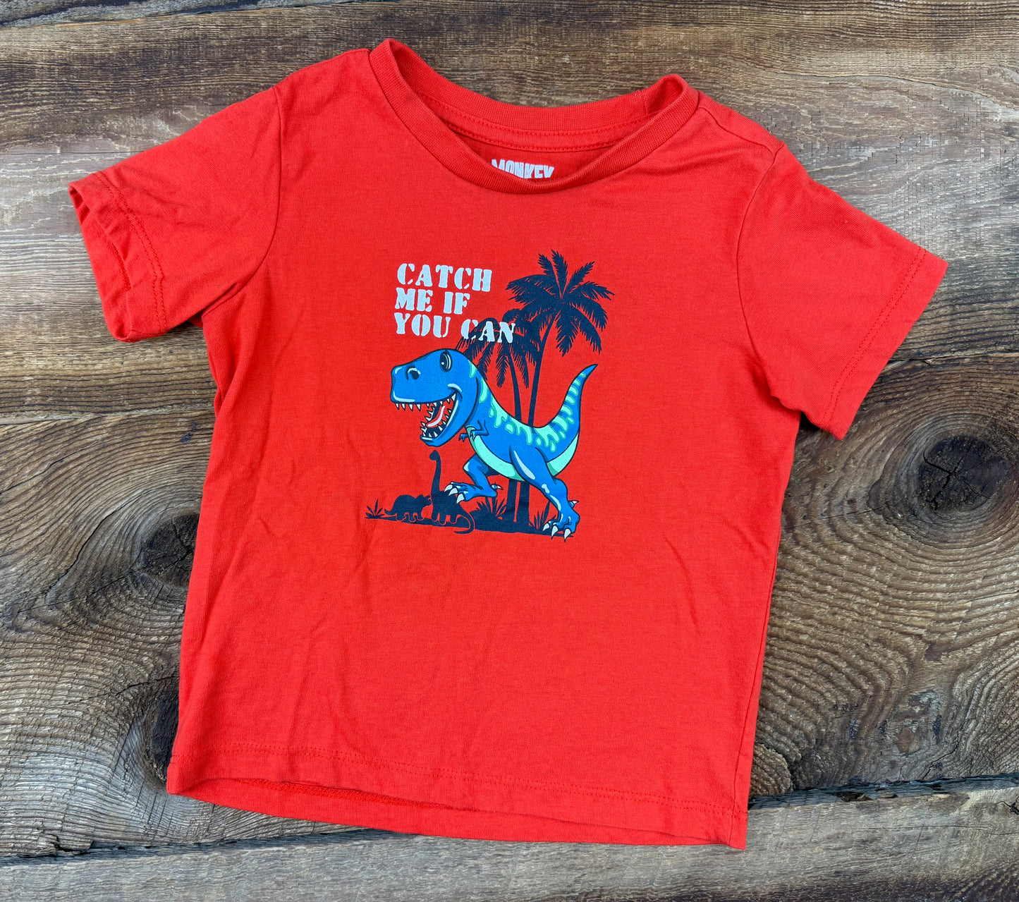 Monkey Bars 24M Dino Tee
