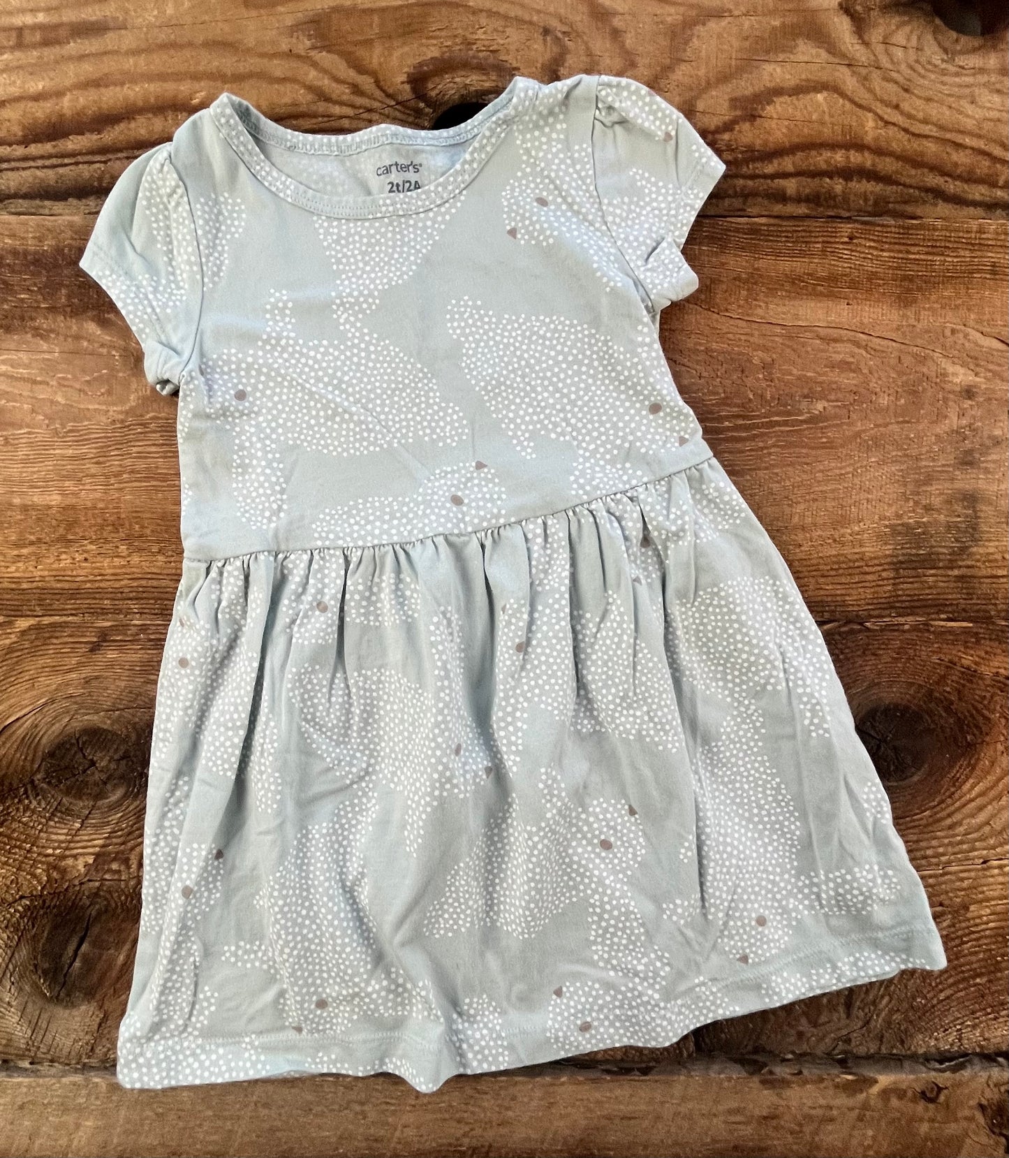 Carter’s 2T Bunny Dress