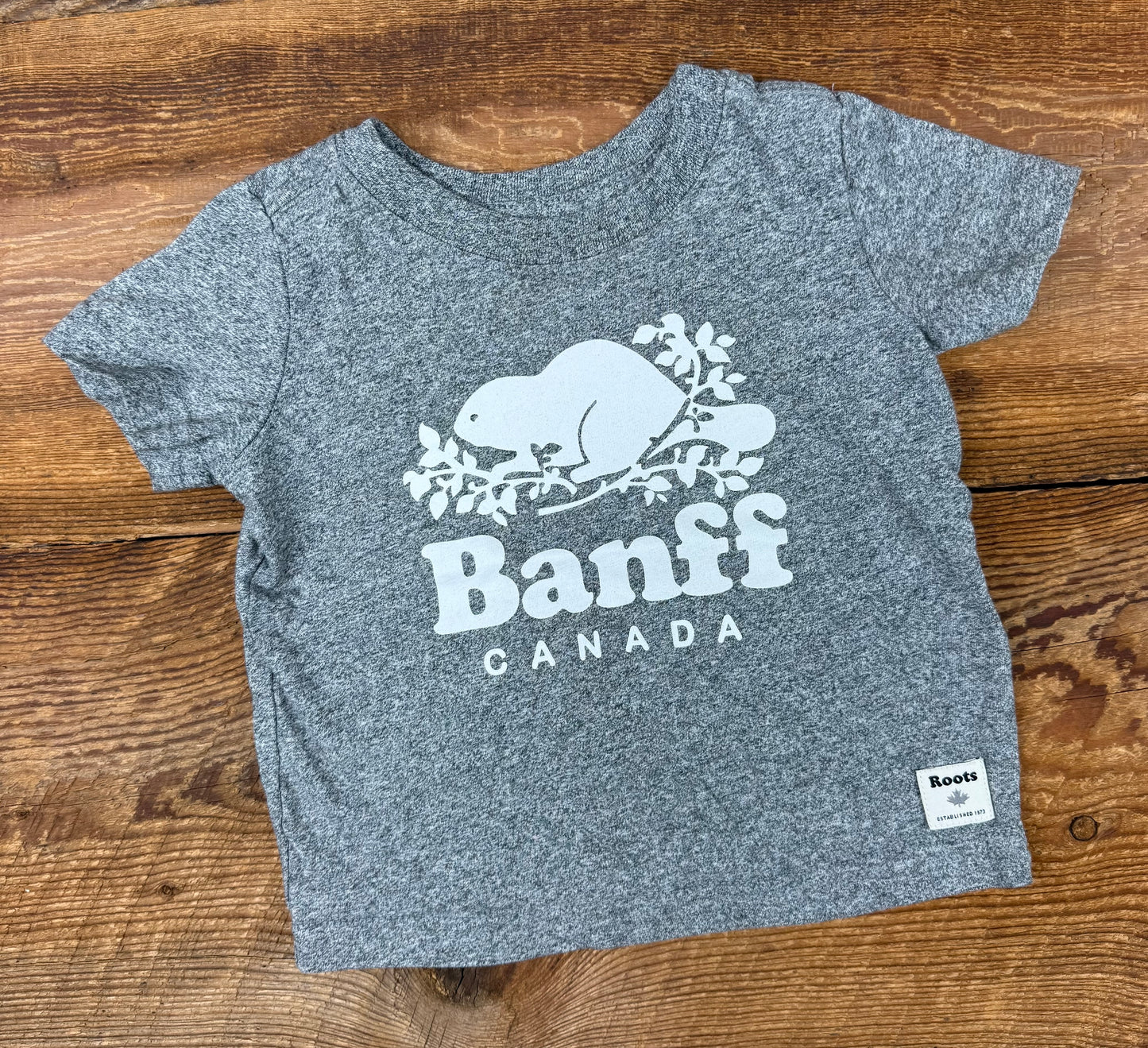 Roots 3-6M Banff Tee