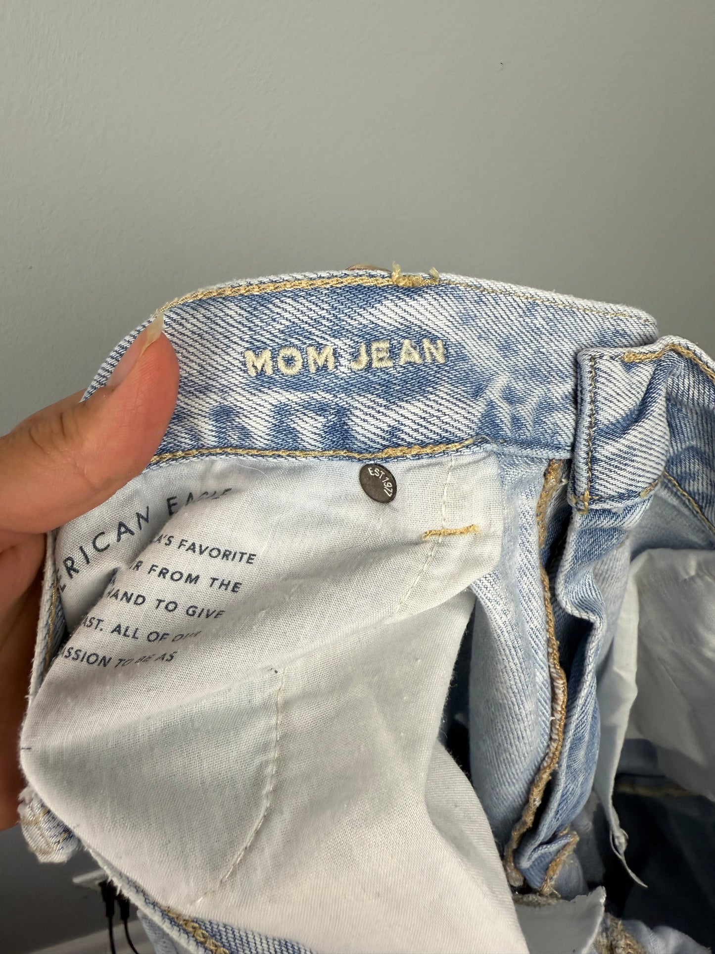 American Eagle Women’s 18S Distressed Mom Jean