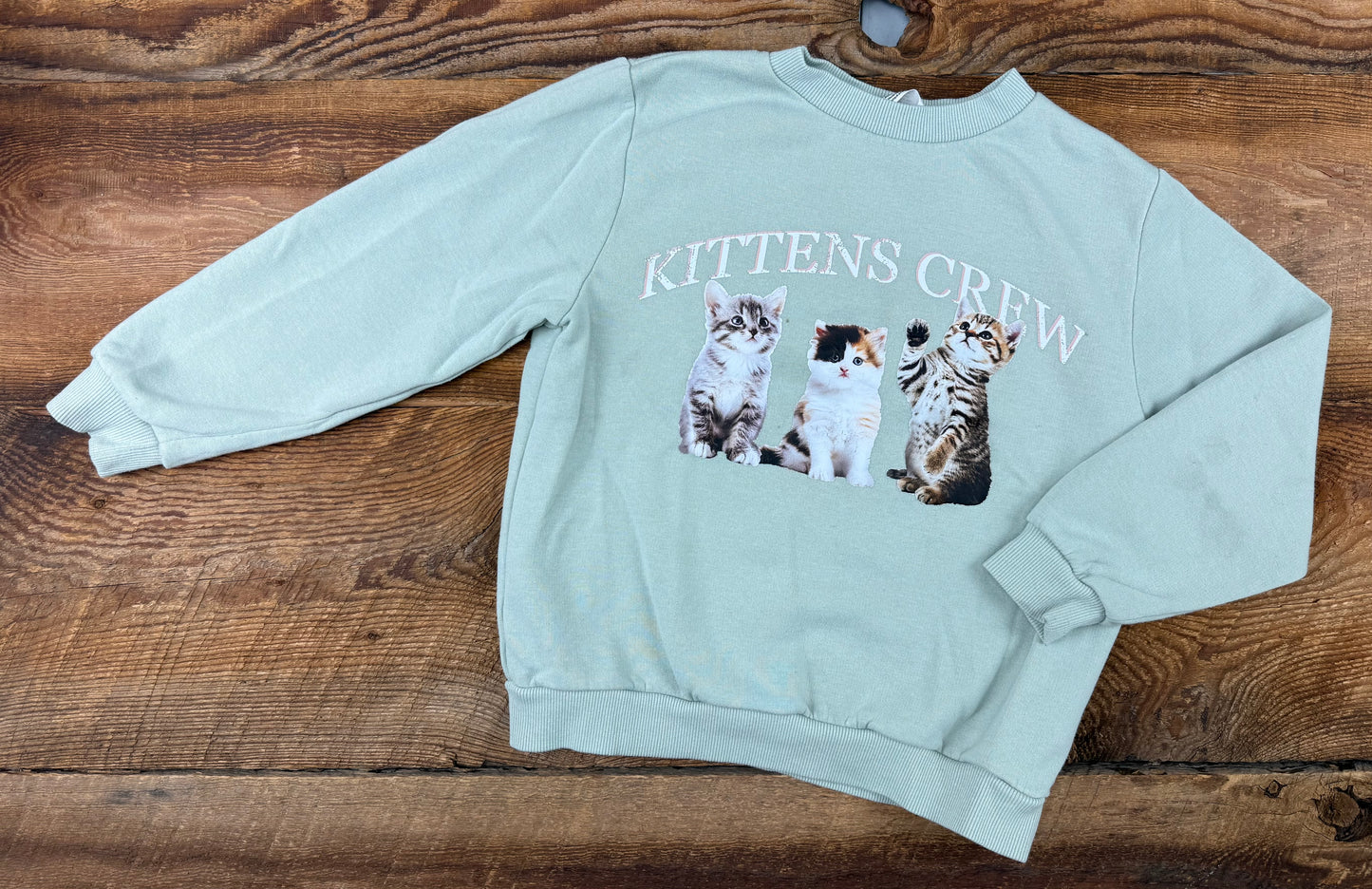 H&M 5T/6 Kitten Crewneck