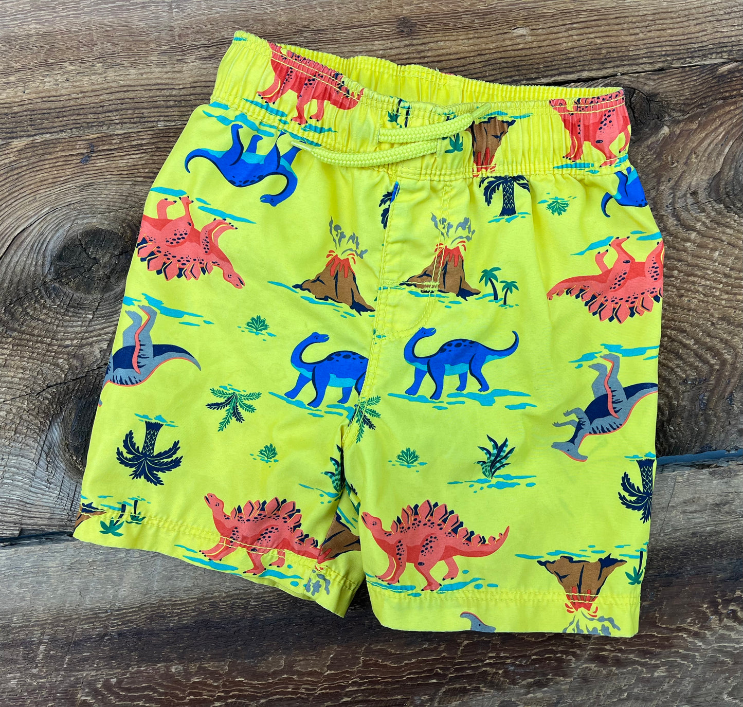 Old Navy 2T Dino Swim Short