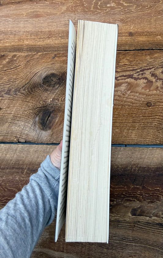 Lisa Jewell The Night She Disappeared Novel