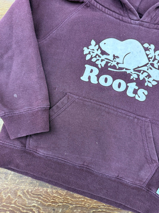 Roots 4T Hoodie