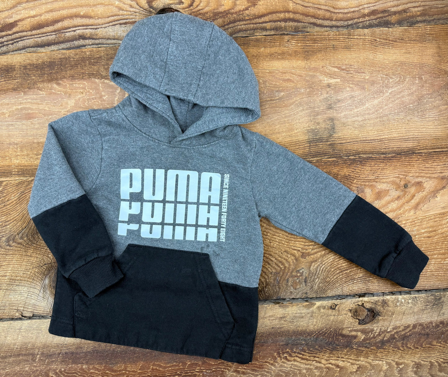 Puma 2T Hoodie