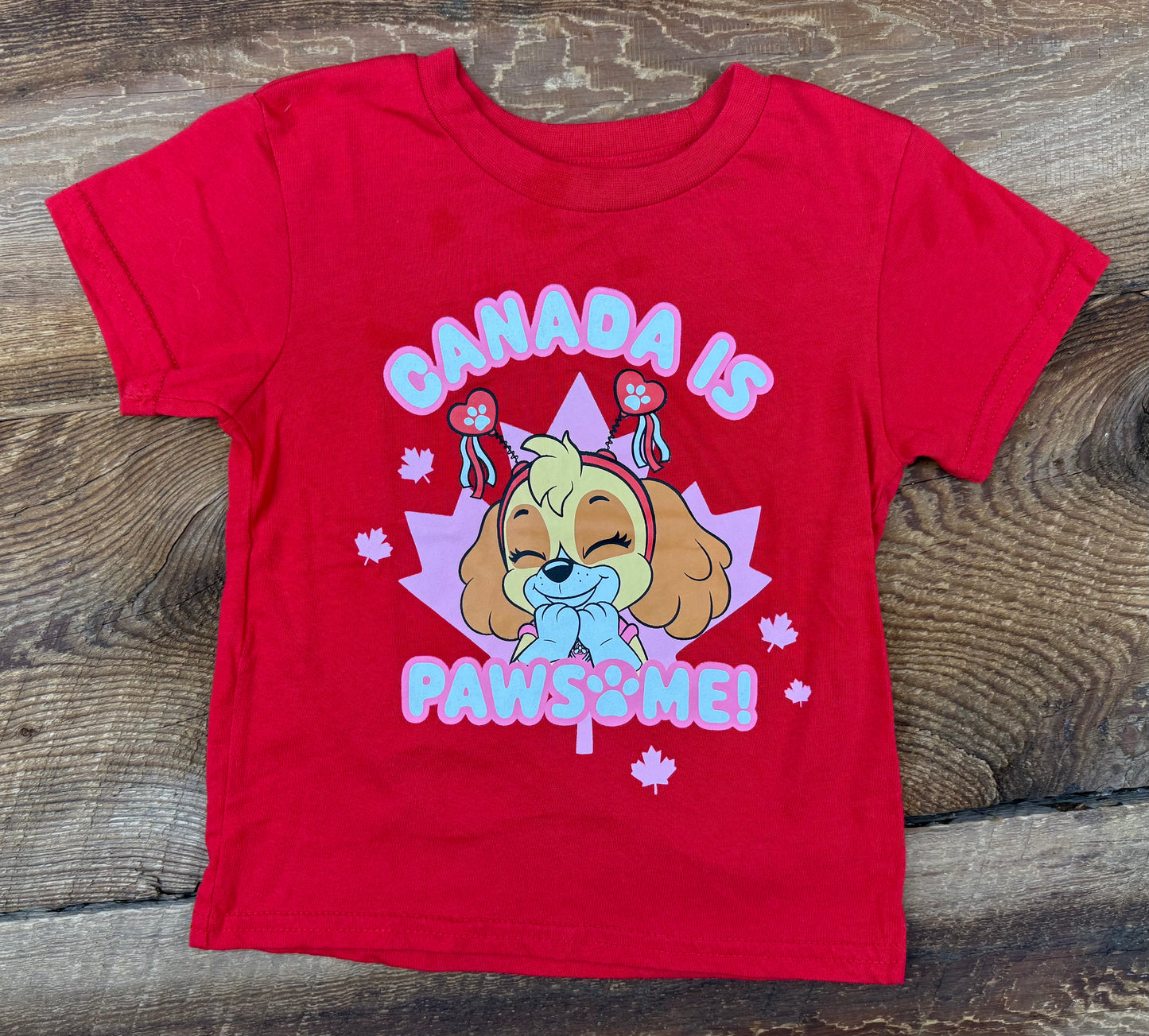 Nickelodeon 3T Canada Tee