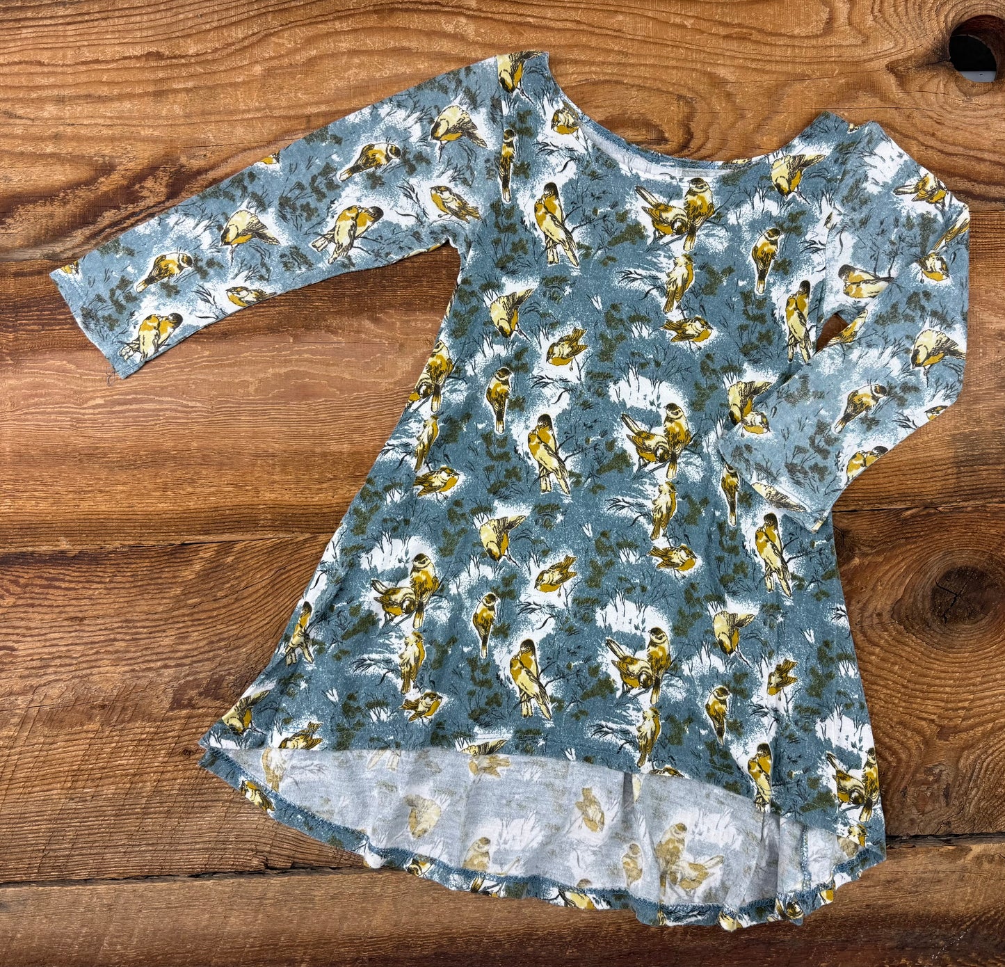 Little & Lively 5T/6Y Bird Dress