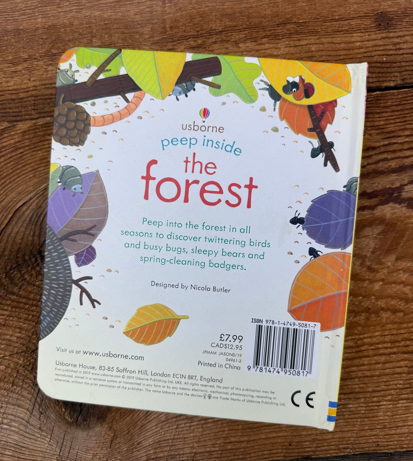 Usborne Peep inside the Forest Book