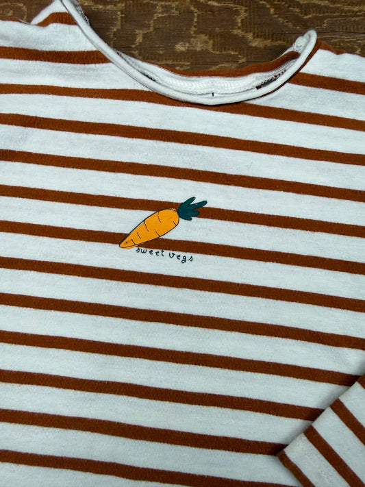 Zara 18-24M Striped Carrot Shirt