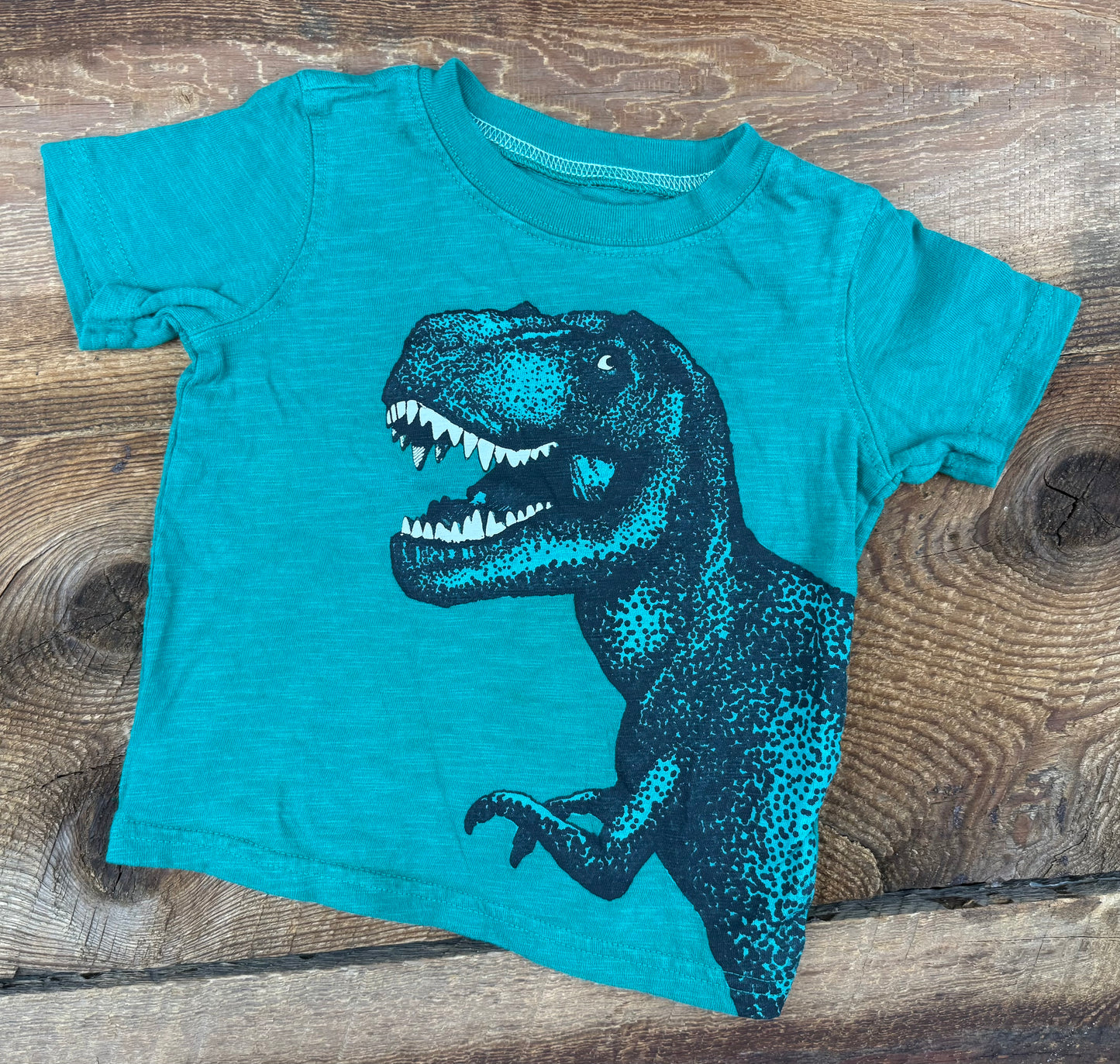Carter’s 18M Dino Tee