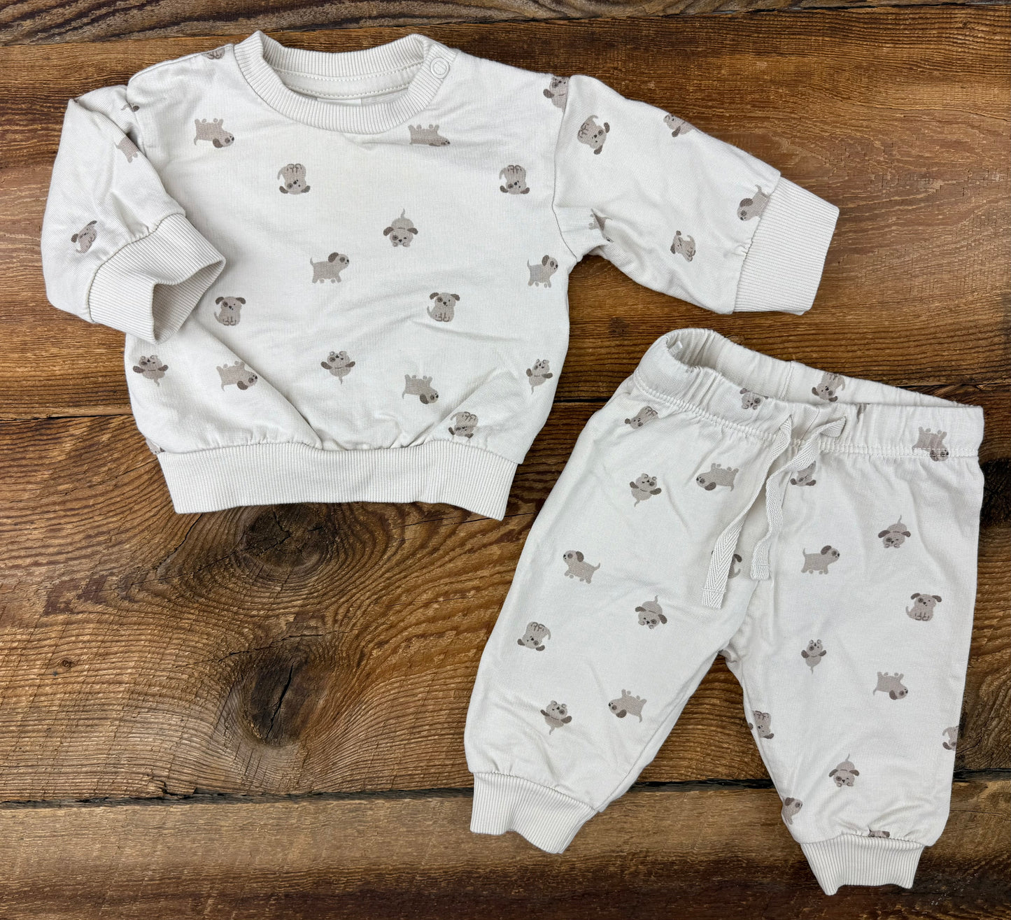 H&M NB Dog Outfit