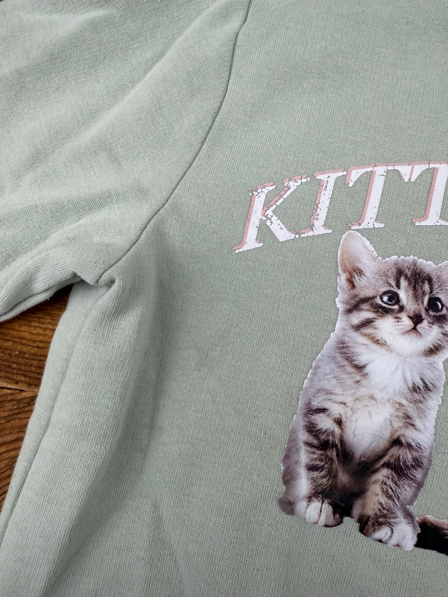 H&M 5T/6 Kitten Crewneck