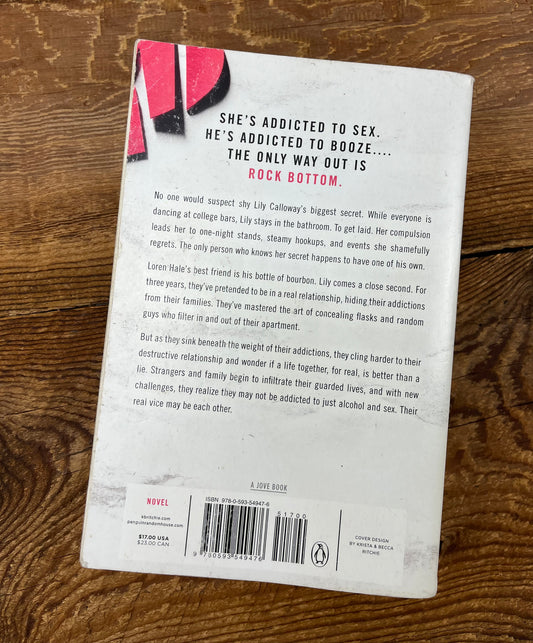 Addicted to You by Krista & Becca Ritchie Book