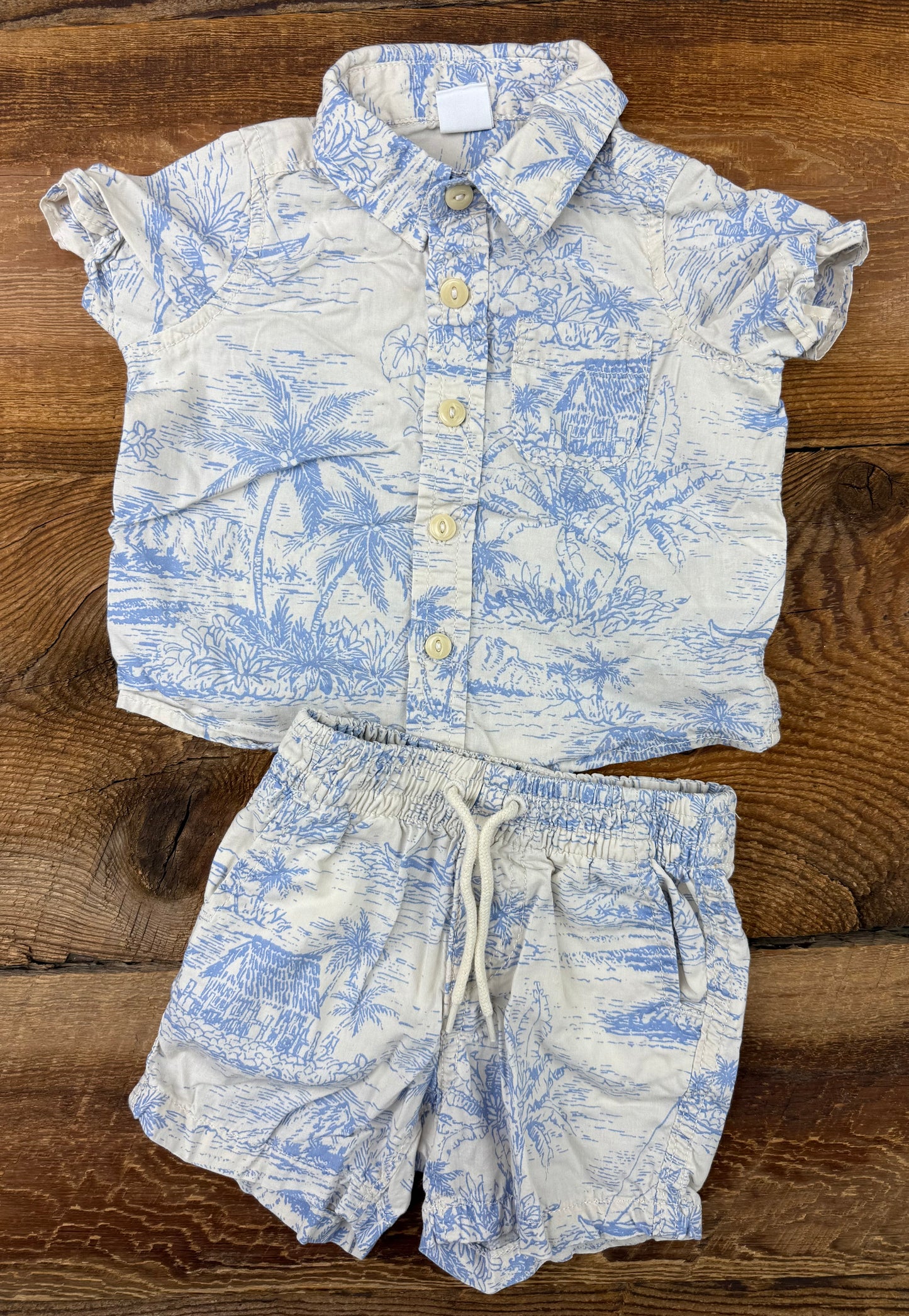 Gap 6-12M Palm Outfit