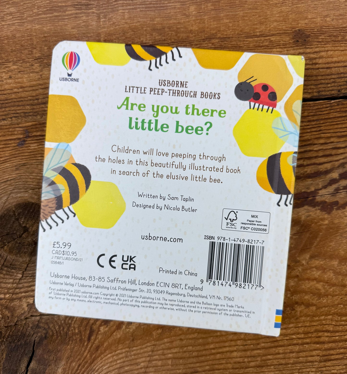 Usborne Are you there little Bee? Book