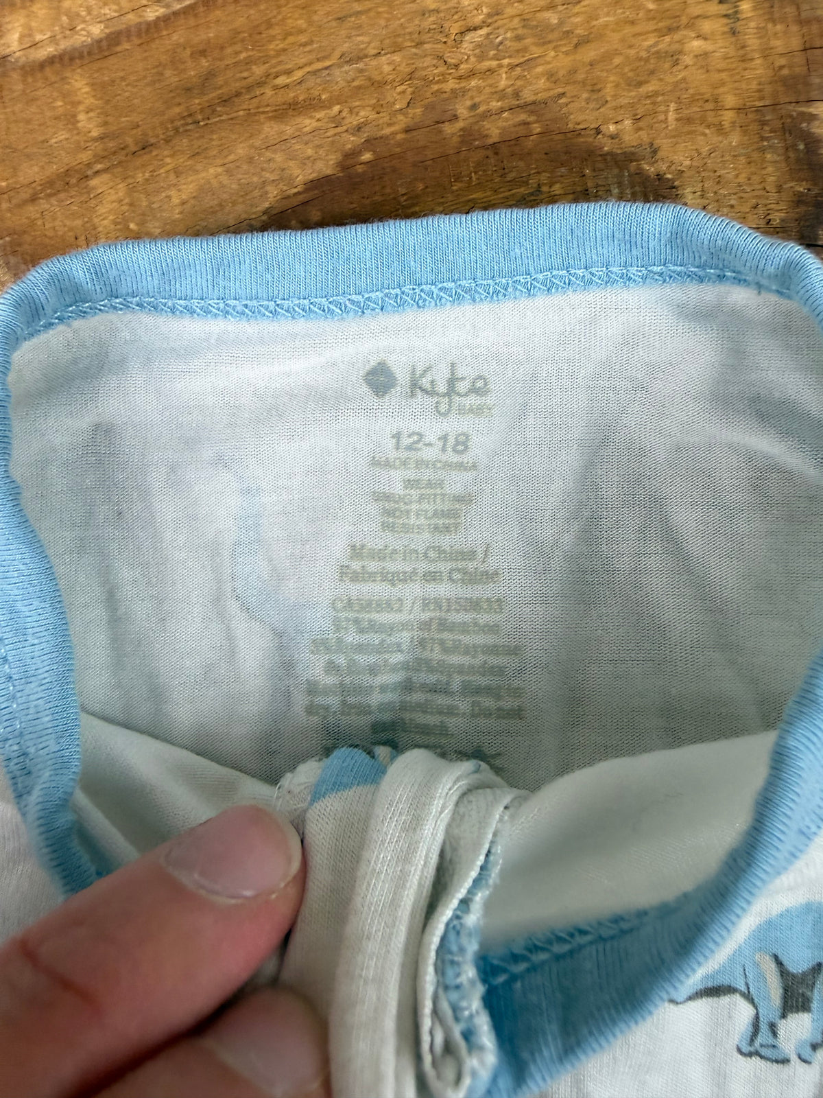 Kyte 12-18M Dino Sleeper