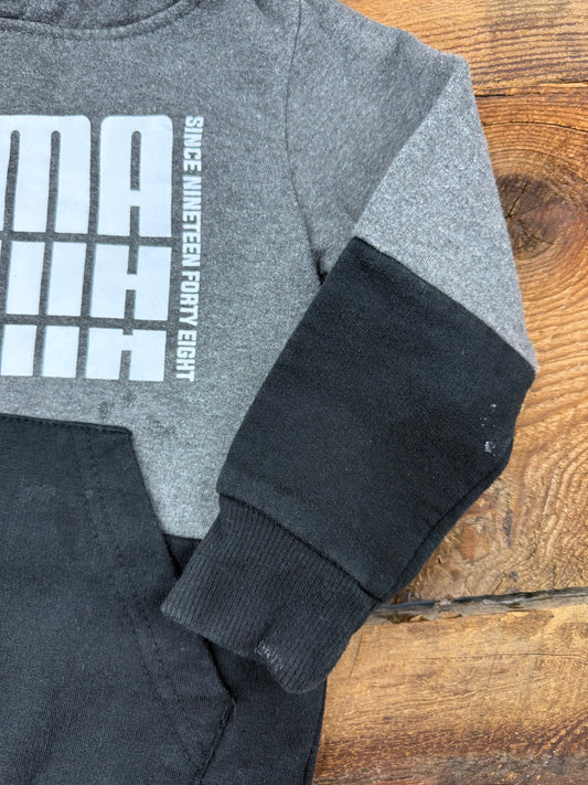 Puma 2T Hoodie