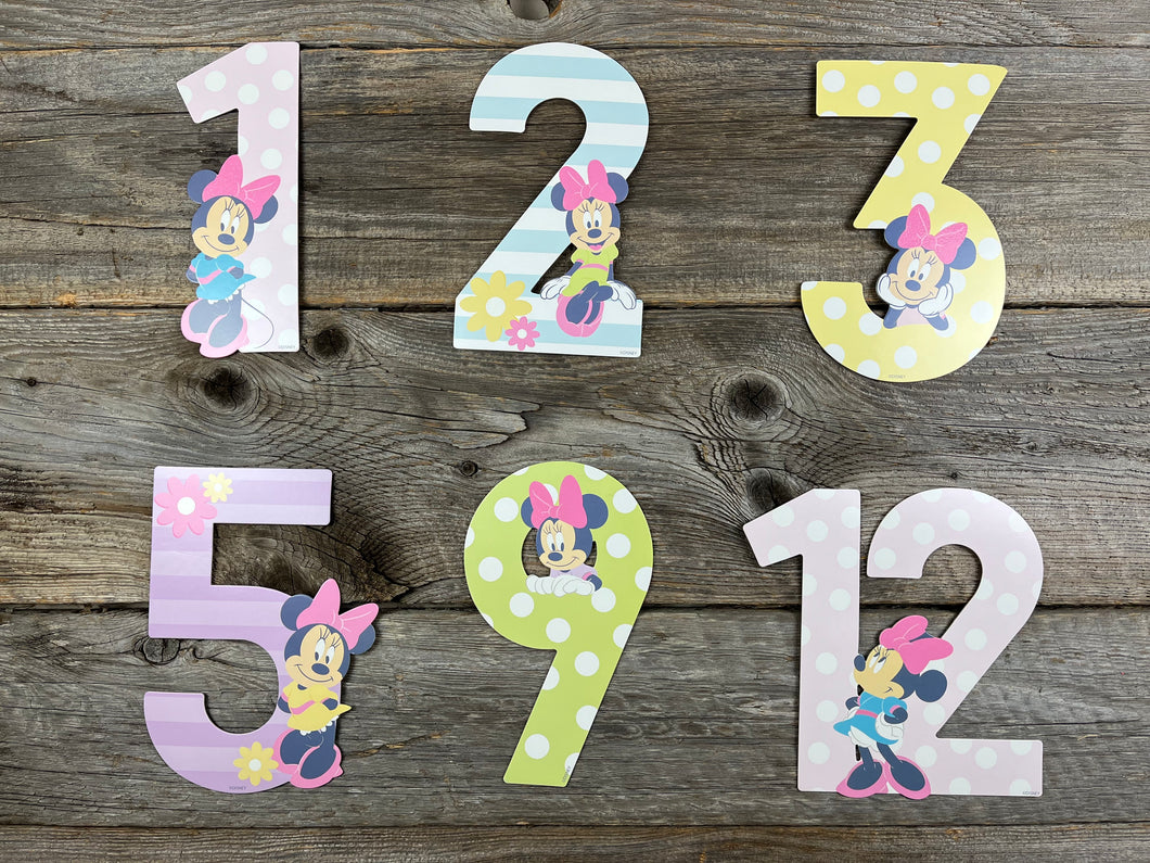 Minnie Mouse Monthly Milestones