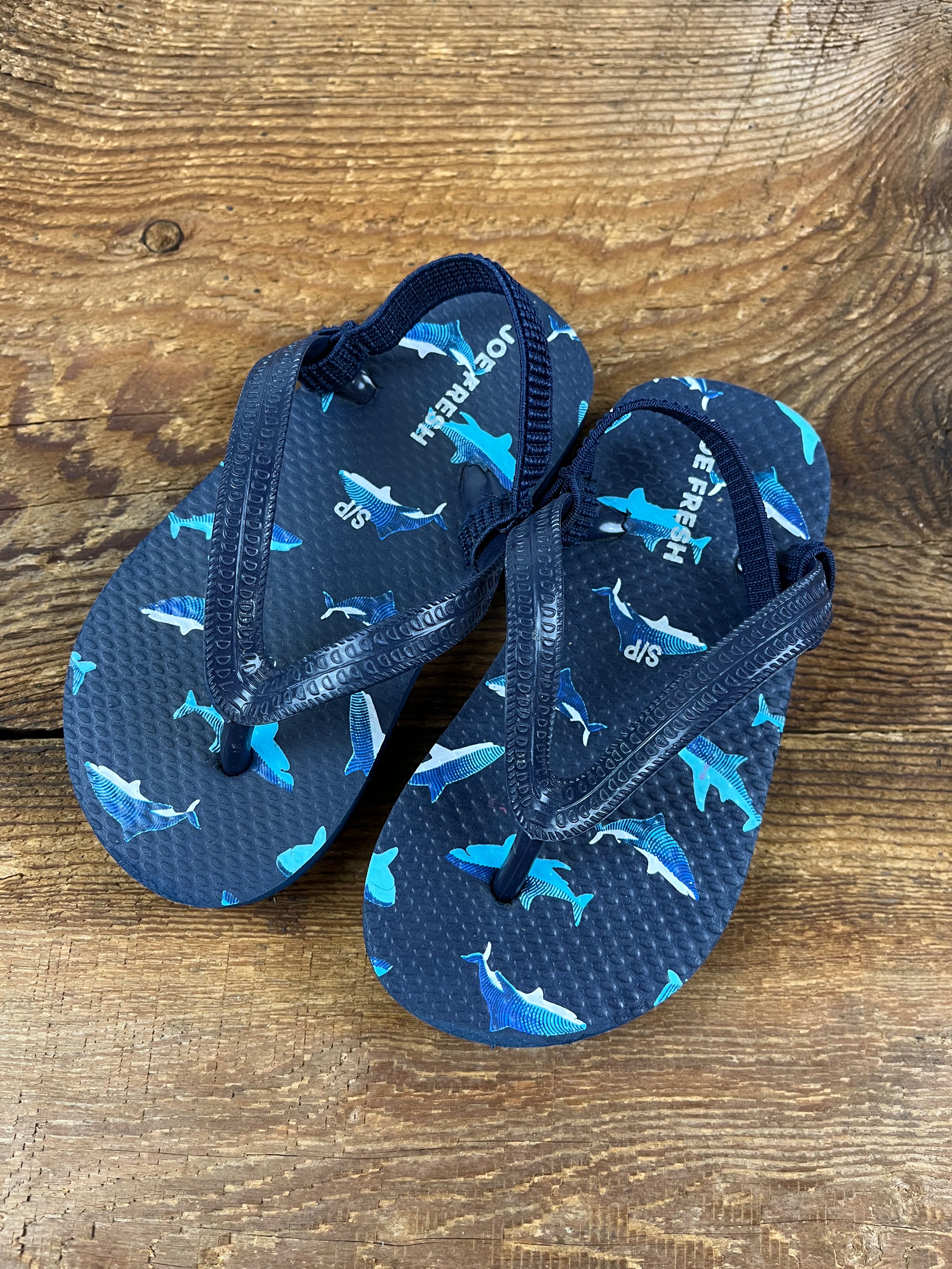 Reef shark 2025 flip flops