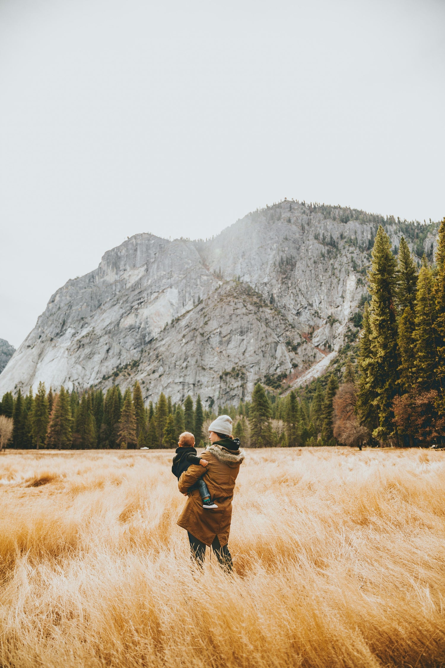 Fall + Winter