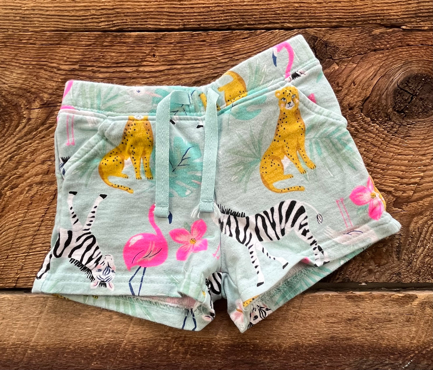 Carter’s 12M Jungle Short