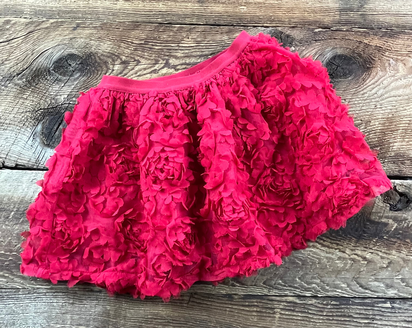 The Children’s Place 3T Rose Skirt