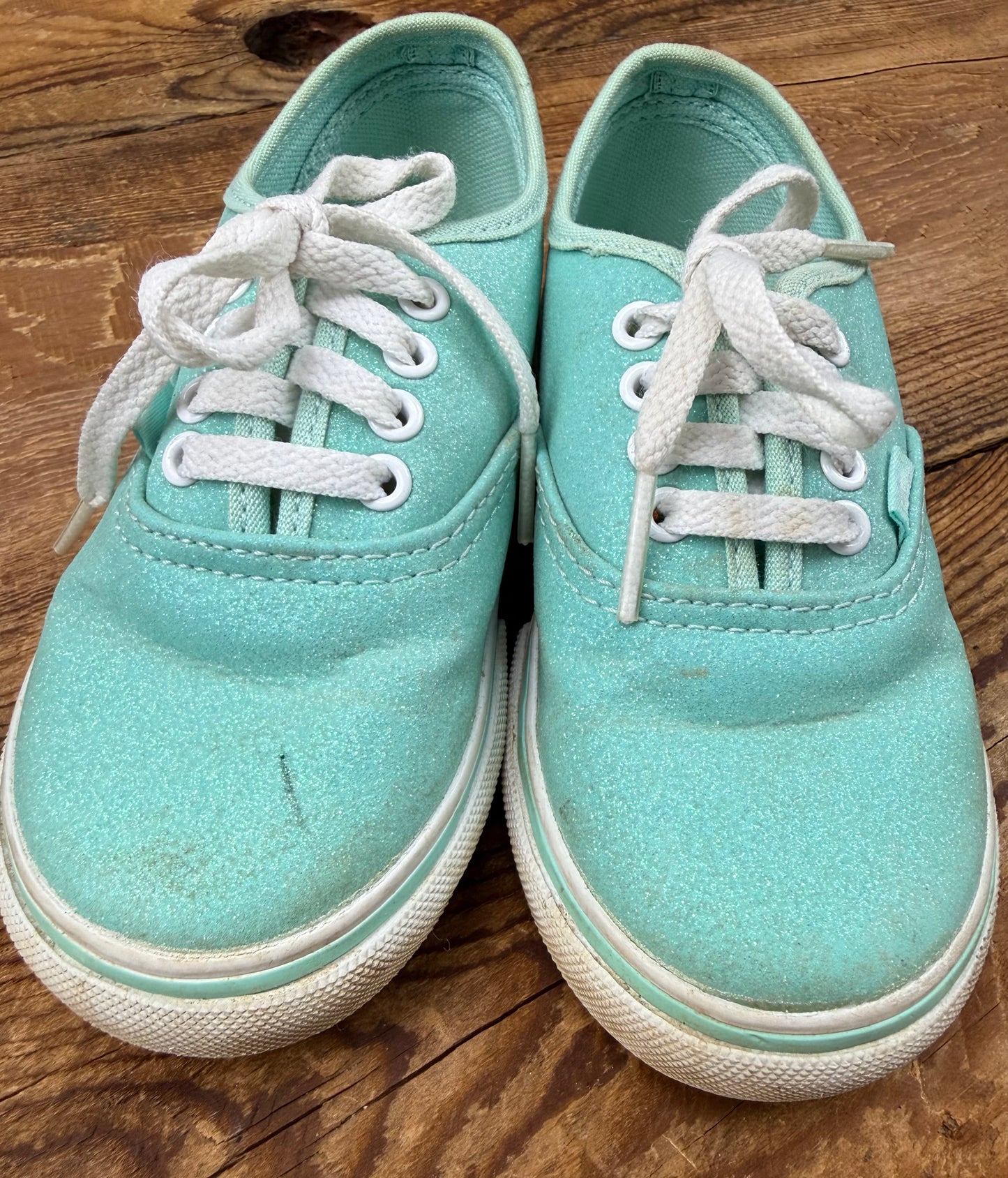 Vans 9C Sparkle Shoe
