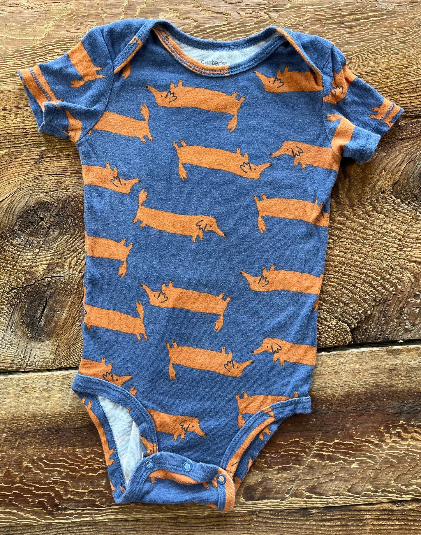 Carter’s 18M Dog Onesie