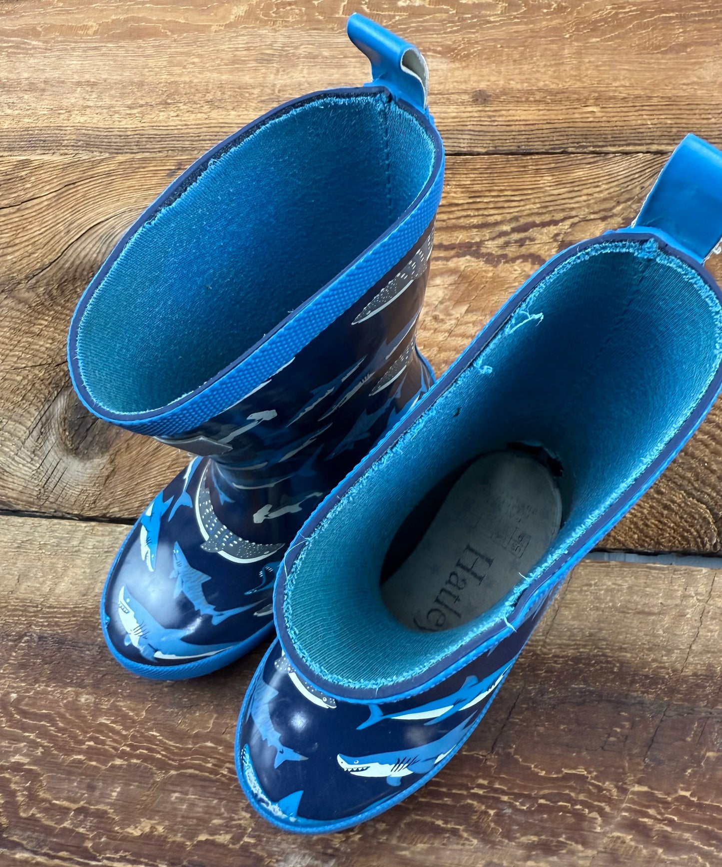 Hatley 9C Shark Rainboot