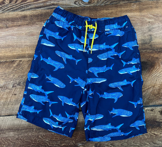 Gap Large (10/12) Shark Swim Short