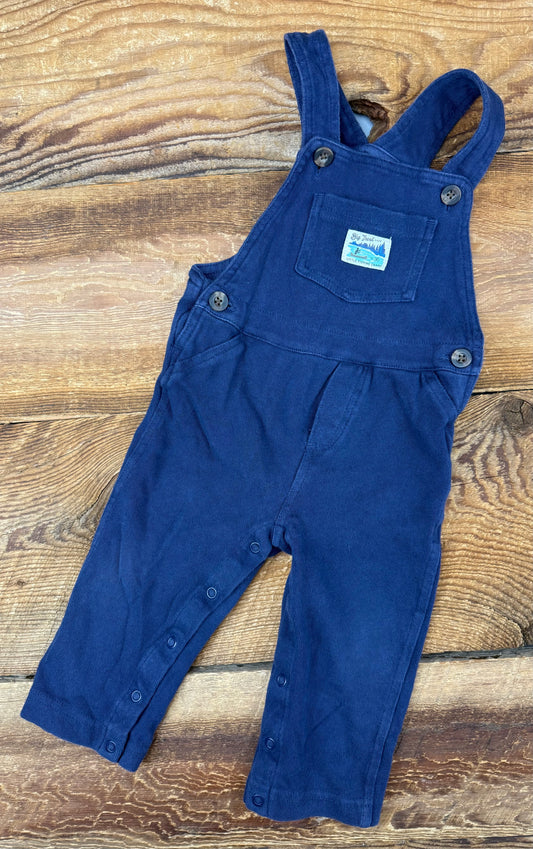 Carter’s 18M Overalls