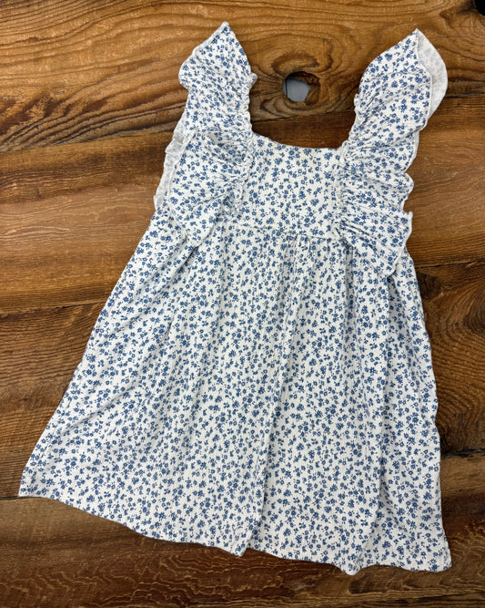 Zara 4-5T Floral Dress