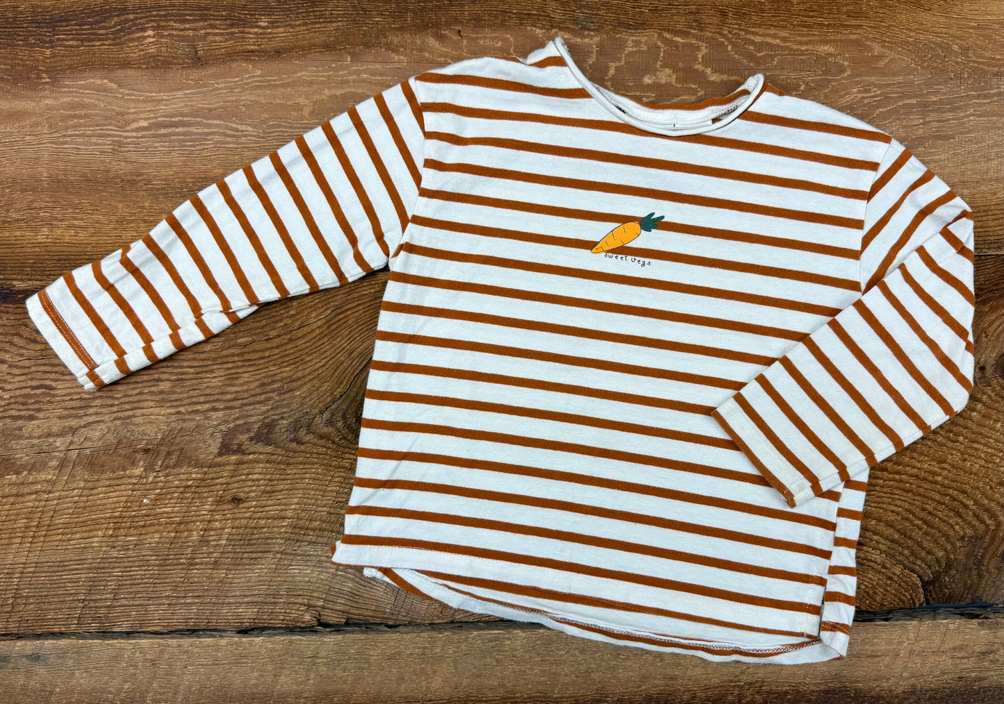 Zara 18-24M Striped Carrot Shirt