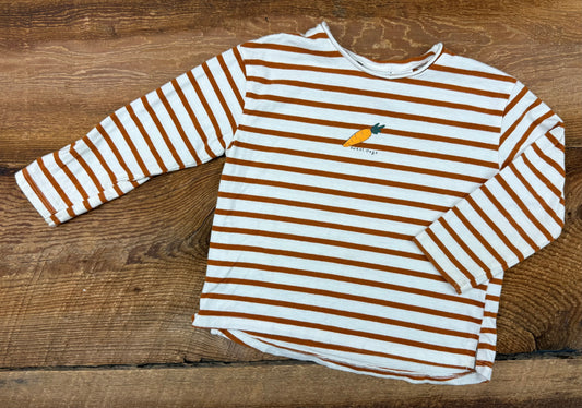 Zara 18-24M Striped Carrot Shirt
