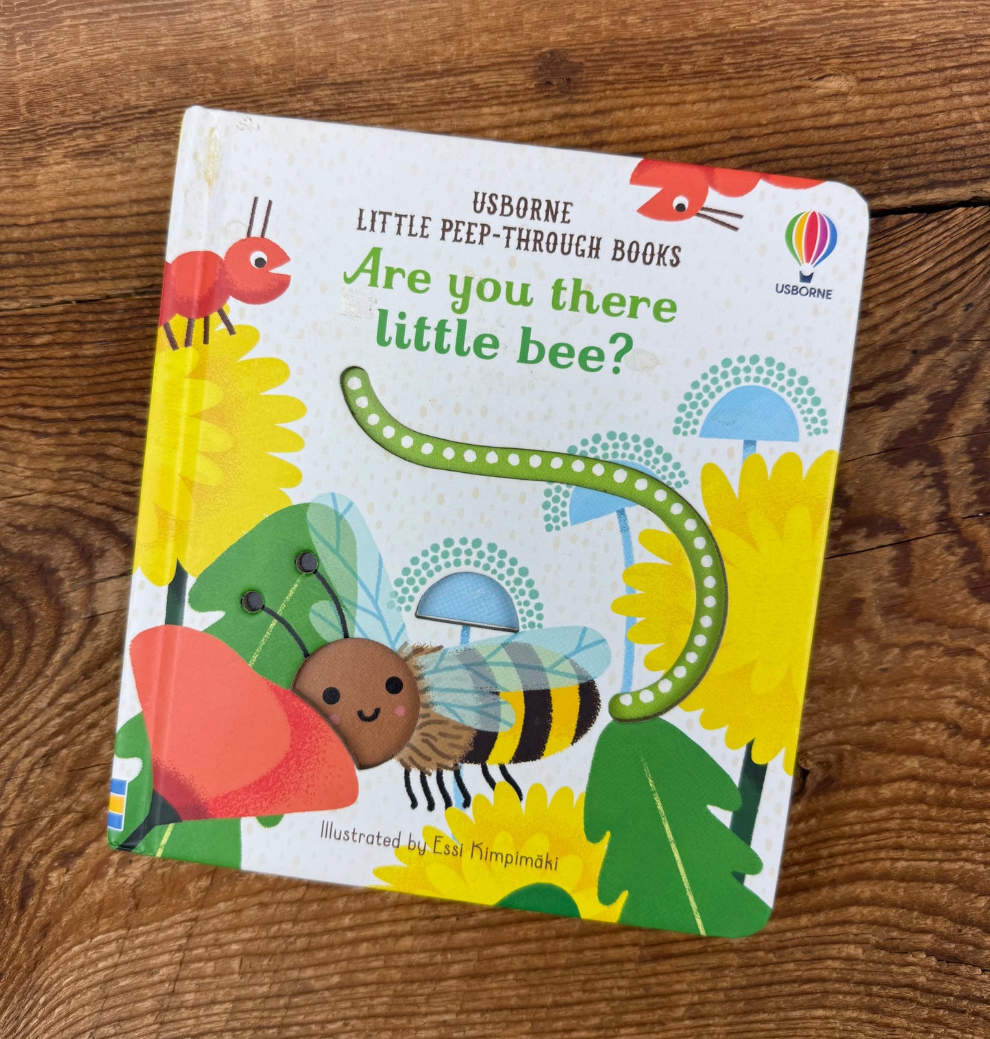 Usborne Are you there little Bee? Book