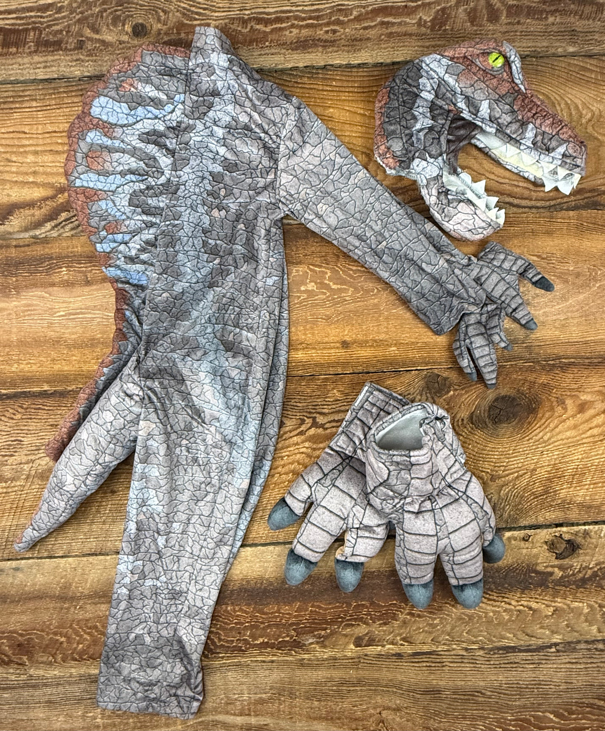 Halloween Costumes 4T Dino Costume