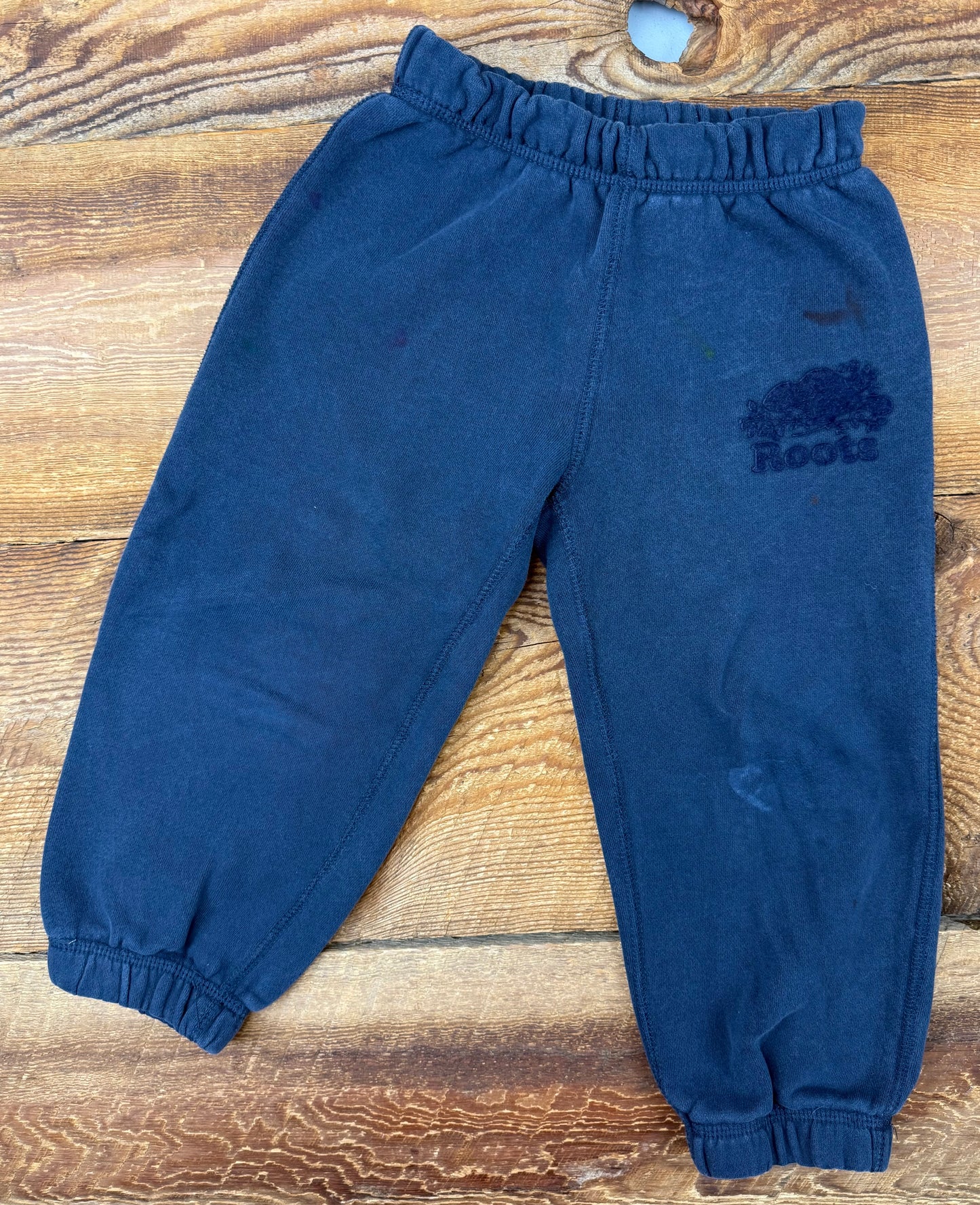 Roots 3T Joggers