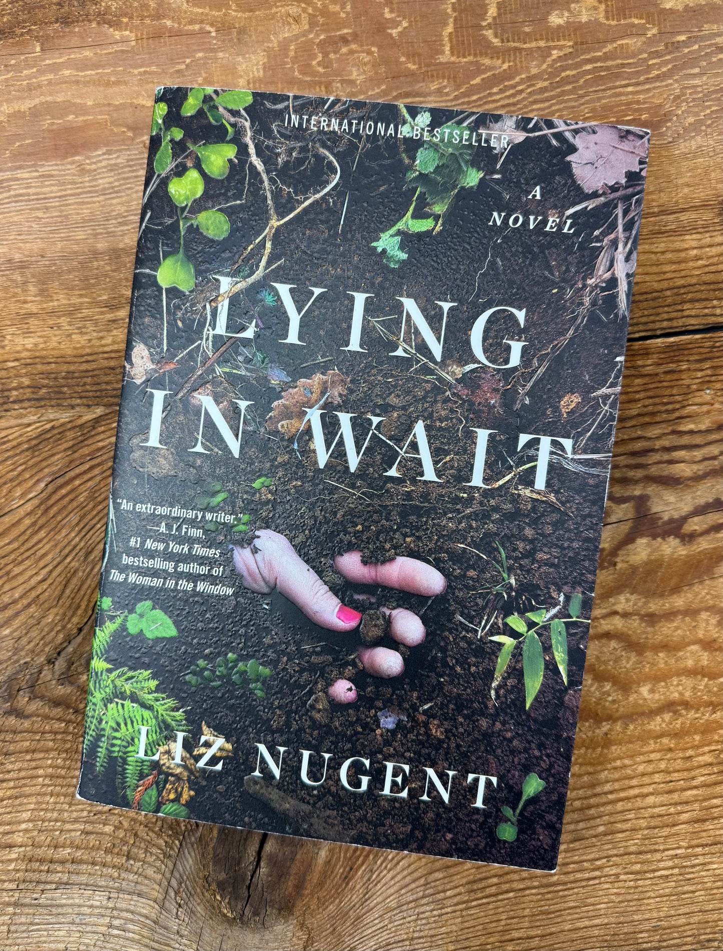 Lying in Wait by Liz Nugent