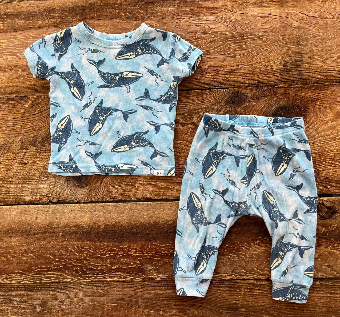 Gap 6-12M Whale Pajamas Set