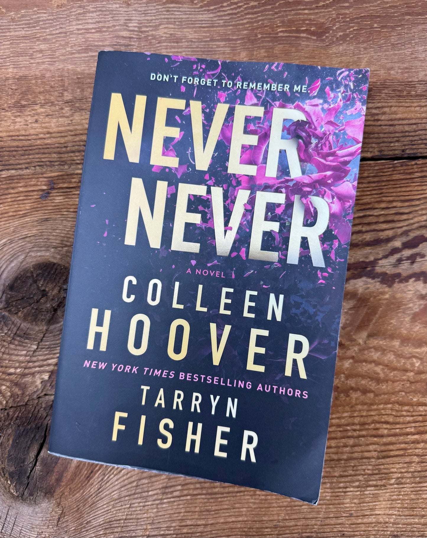 Never Never, Colleen Hoover Novel