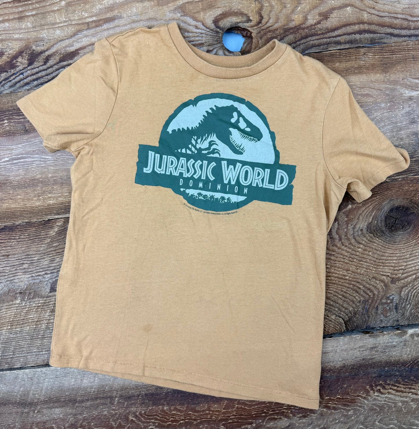 Gap Medium (8) Jurassic Park Tee