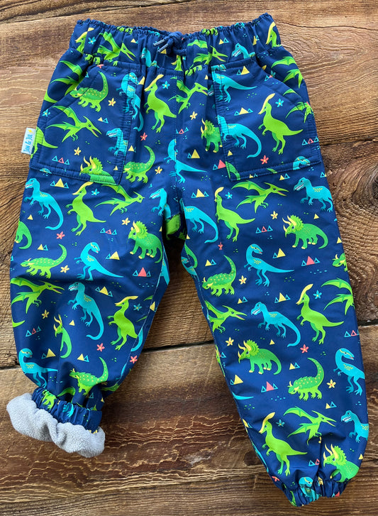 Jan & Jul 2T Lined Dino Splash Pant