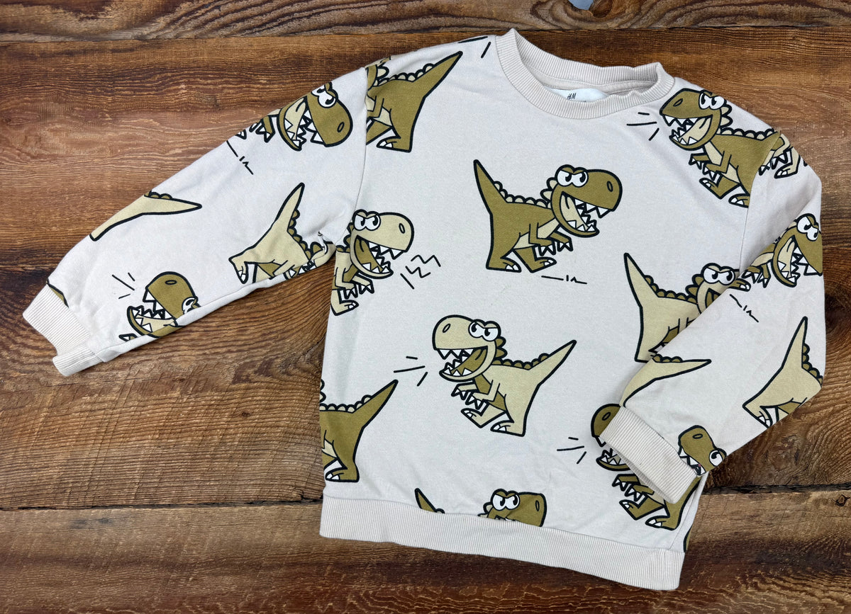 H&M 5T/6 Dino Crewneck