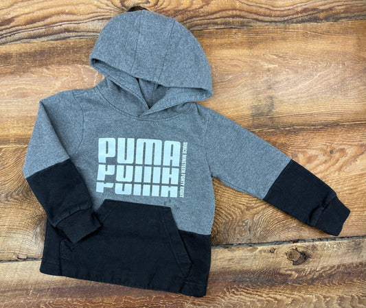 Puma 2T Hoodie
