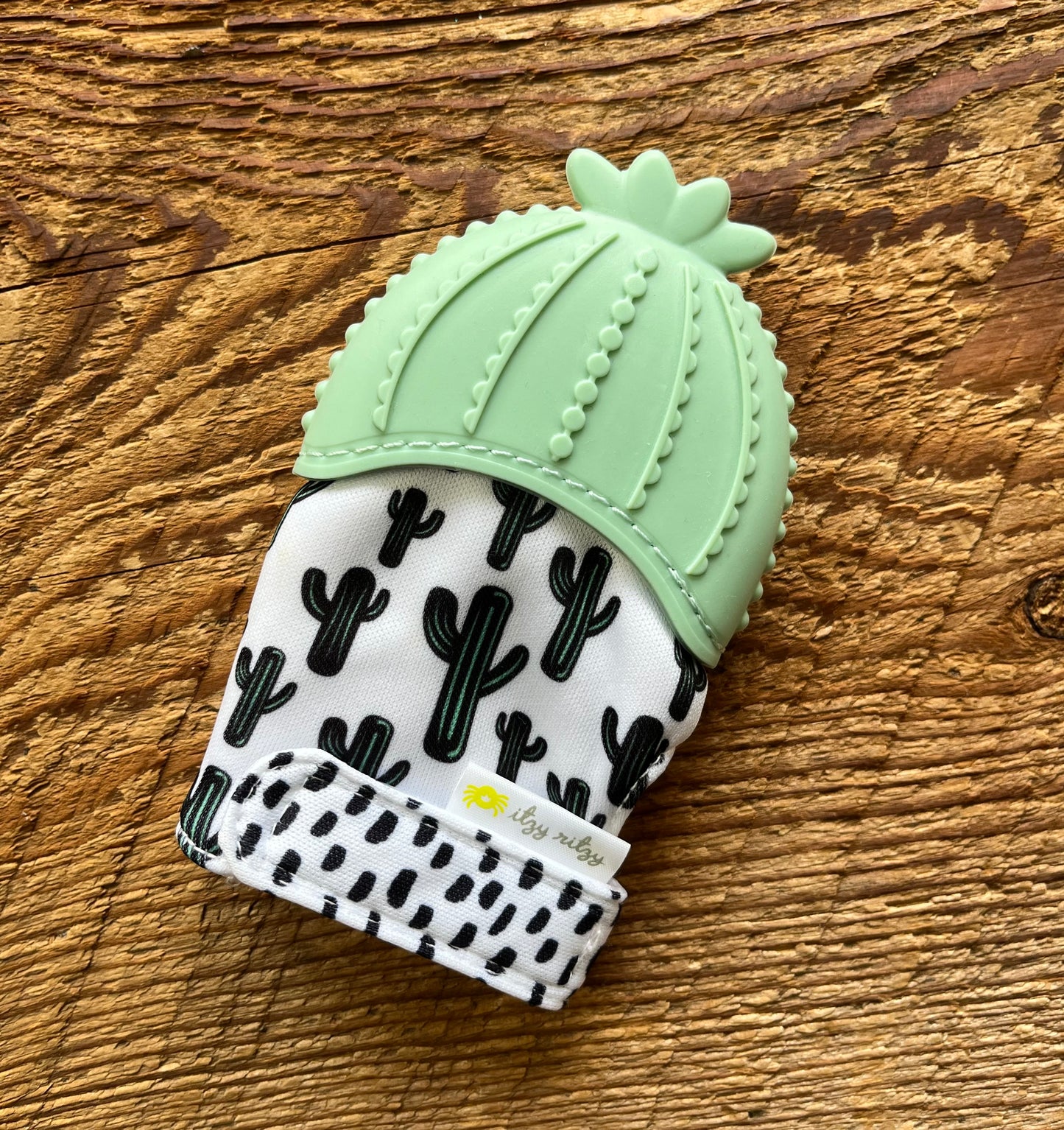 Itzy Ritzy Cactus Teether