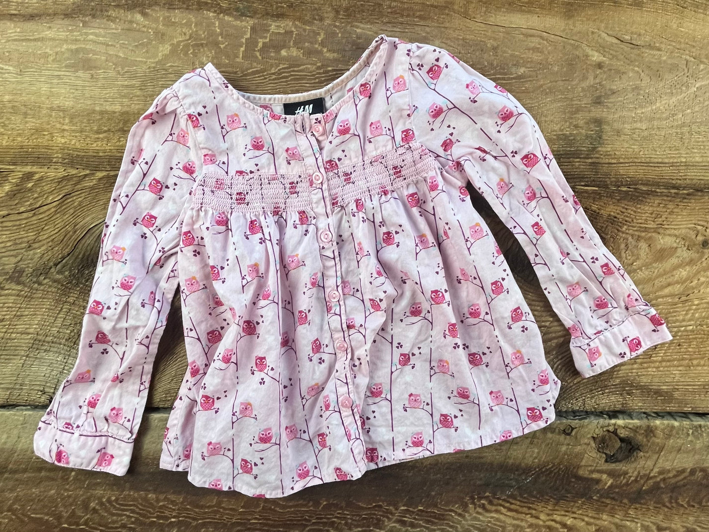 H&M 2-3T Owl Shirt