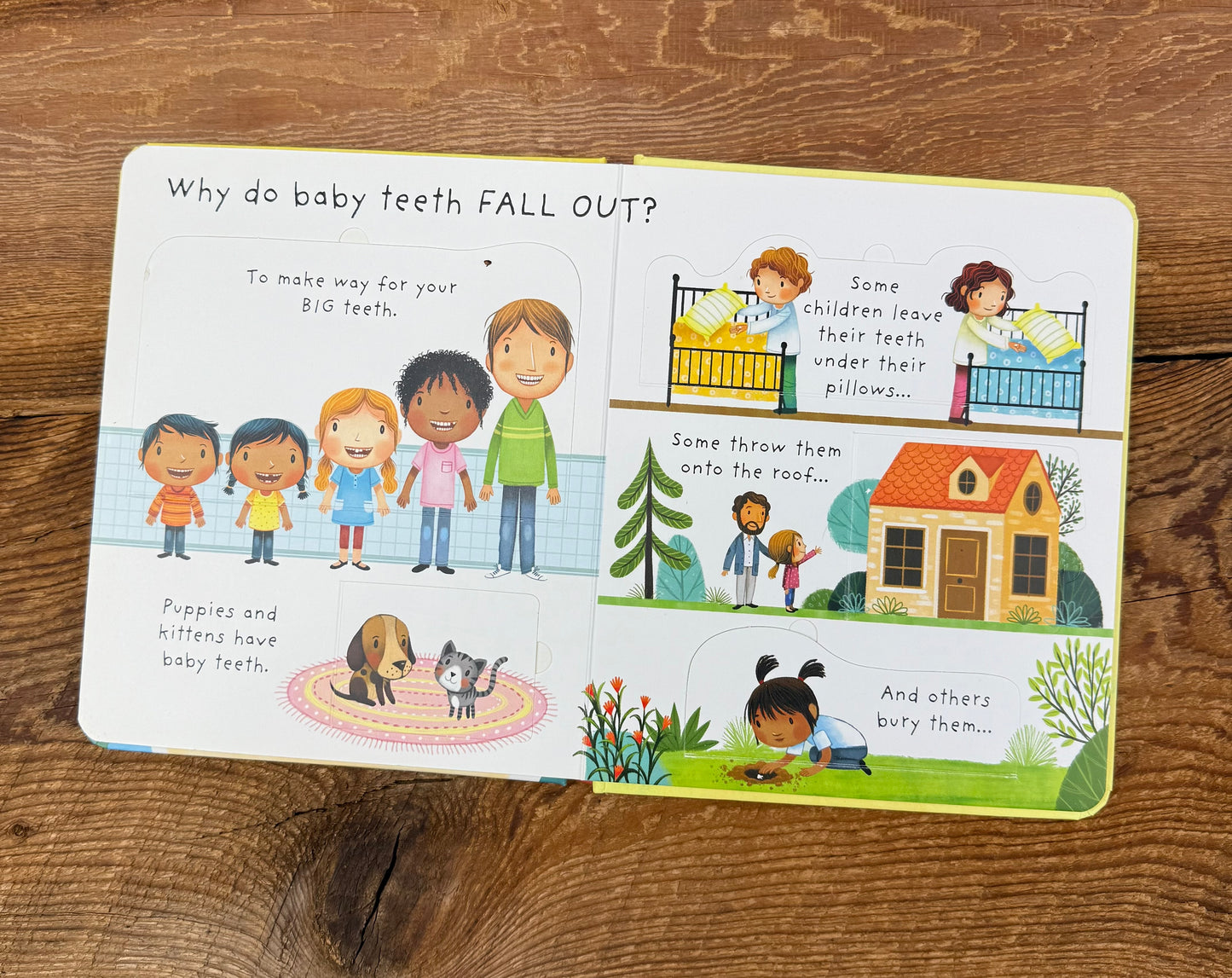 Usborne Lift-the-flap Why should I brush my Teeth? Book